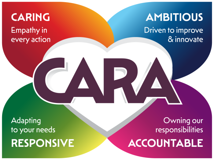 CARA Values